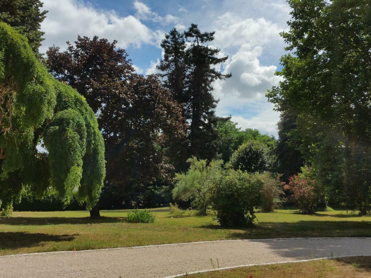Au Cocon De Sologne Hotel Soings-en-Sologne Bagian luar foto