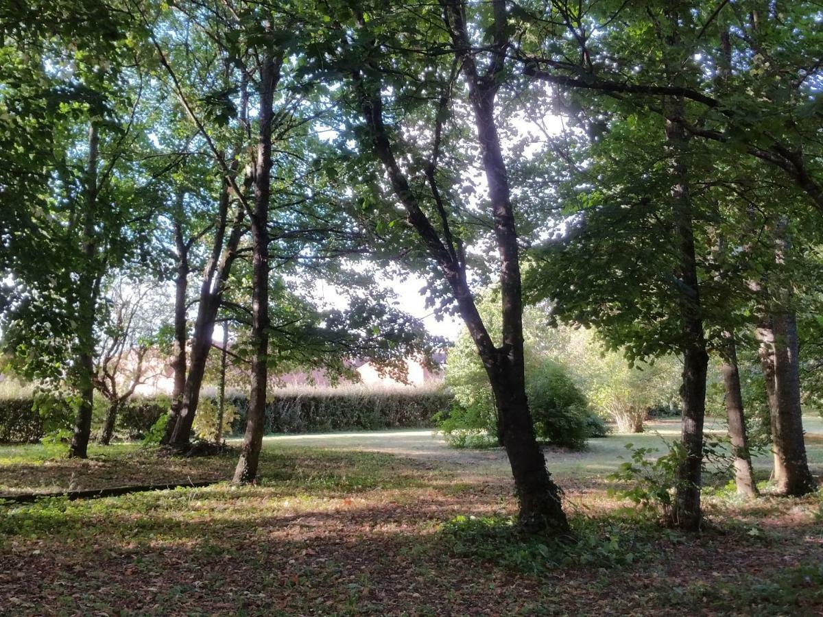 Au Cocon De Sologne Hotel Soings-en-Sologne Bagian luar foto